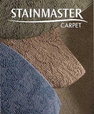 Stainmaster Carpet